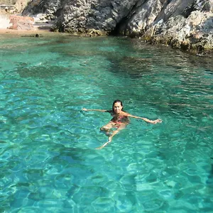 Tarongeta Palafrugell